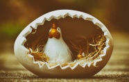 复活节卡通母鸡图片