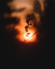 日落西山非主流风景图片