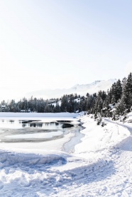 冬季白雪覆盖景色图片