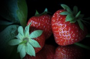 美味红草莓图片