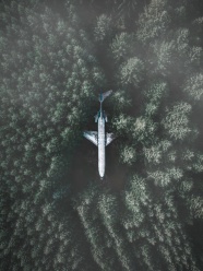 丛林中的飞机图片