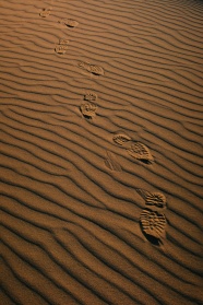 沙漠上脚印图片