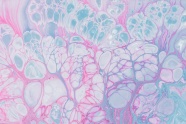 细胞组织液镜下结构图片