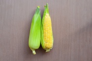 新鲜玉米棒子图片