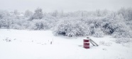 冬日唯美雪景图片