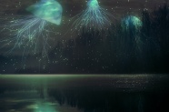 深海蓝色透明水母图片