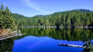 静谧湖泊绿色风景图片
