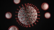 新型冠状病毒结构图片