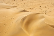 荒地沙漠素材图片