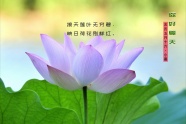 你好夏天小暑节气图片