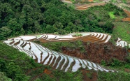 高山梯田图片