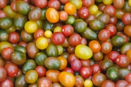 色彩缤纷的小番茄图片