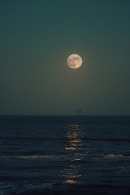 海上升明月图片