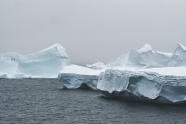 海岸白色冰川图片