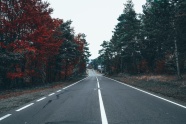 秋天公路风景图片