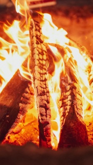 木炭篝火火焰图片