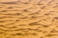 土黄色沙子纹理背景图片