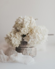 白色花簇静物摄影图片