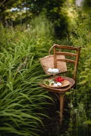绿色草丛椅子静物摄影图片