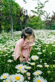 白色菊花花海小女孩图片