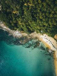 绿色海岛树林大海图片