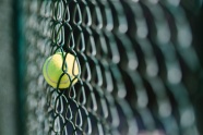 铁丝网上网球图片