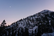 雪山树木积雪图片