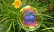 透明彩色肥皂泡泡图片