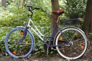 树林里的自行车图片