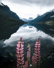 雾气缭绕山水风景图片