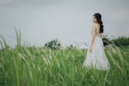 绿色野草丛婚纱摄影图片