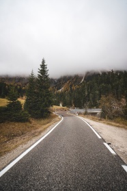 远山树木公路图片