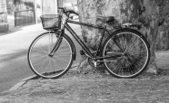 复古自行车还白图片