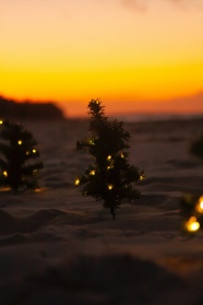 沙滩上的小圣诞树图片