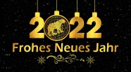 虎年2022年图片