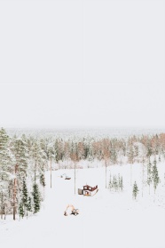 唯美冬季密林雪景图片