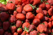 成熟红草莓丰收图片