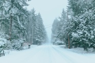 冬季树林公路漫天大雪图片