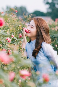 蓝色雪纺纱裙花海美女图片