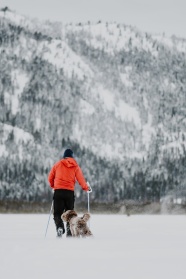 雪地遛狗人物背影图片