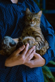 女人抱着虎斑猫图片