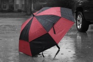 红黑双色雨伞图片