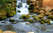 小溪岩石流水风景图片