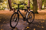 树林运动单车图片