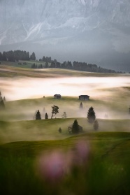 雾气朦胧乡村田园风光图片