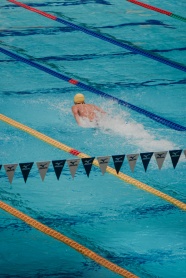 泳池游泳运动比赛图片