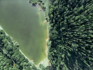 绿色树林湖泊鸟瞰图摄影