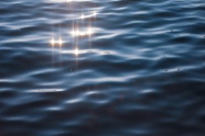 水中反射阳光图片