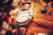 棕色皮革表带银色圆盘手表图片