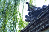 夏日杨柳和古建筑摄影图片